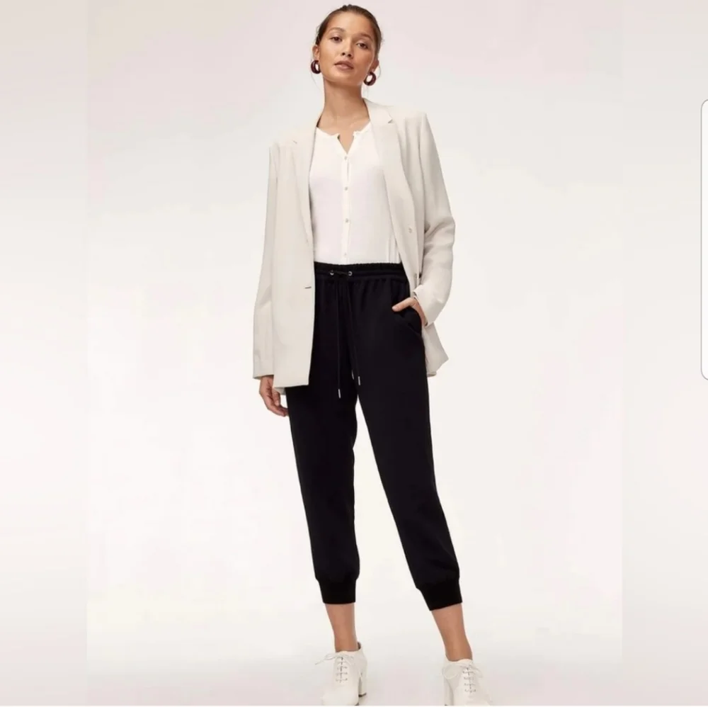 Aritzia Wilfred Green Jogger Buffon Pants - Picture 9 of 11